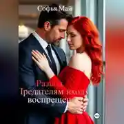 Постер книги Развод. Предателям вход воспрещен.