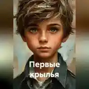 Постер книги Первые крылья