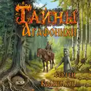 Постер книги Тайны Агафонихи