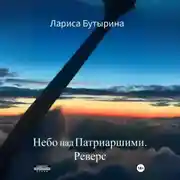 Постер книги Небо над Патриаршими. Реверс