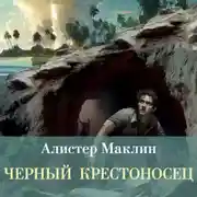 Постер книги Черный крестоносец