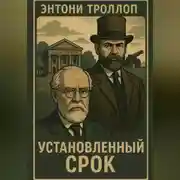 Постер книги Установленный срок