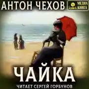 Постер книги Чайка
