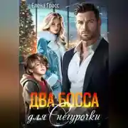 Постер книги Два босса для Снегурочки