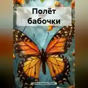 Постер книги Полёт бабочки