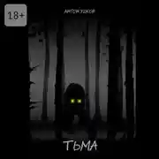 Постер книги Тьма