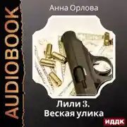 Постер книги Лили. Дело 3. Веская улика