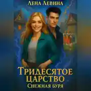 Постер книги Тридесятое царство. Снежная буря