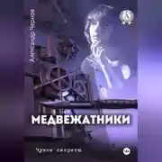 Постер книги Медвежатники