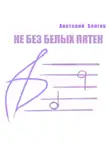 Анатолий Бойгок - Не без белых пятен