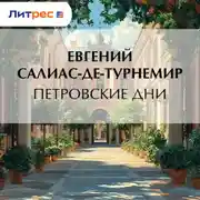 Постер книги Петровские дни