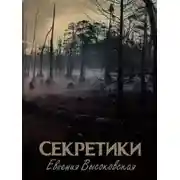 Постер книги Секретики