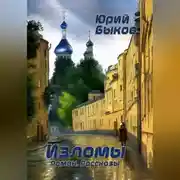 Постер книги Изломы