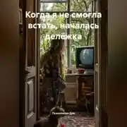 Постер книги Когда я не смогла встать, началась делёжка