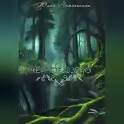 Постер книги Черное озеро