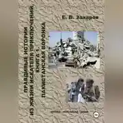 Постер книги Правдивые истории из жизни искателя приключений. Пакистанская воронка