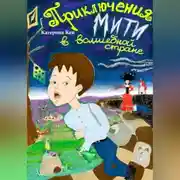 Постер книги Приключения Мити в Волшебной стране