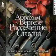 Постер книги Рассечение Стоуна