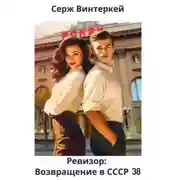 Постер книги Ревизор: возвращение в СССР 38