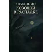 Постер книги Козодои в Распадке
