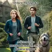 Постер книги Абсолютно неправильные люди