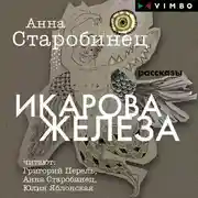 Постер книги Икарова железа (сборник)