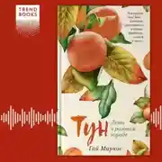 Постер книги Тун. Лето в розовом городе