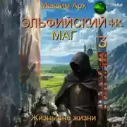 Постер книги Эльфийский маг. Жизнь вне жизни