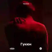 Постер книги Гукюн