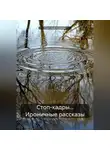 Светлана Князева - Стоп-кадры… Ироничные рассказы