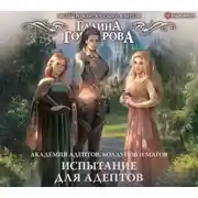 Постер книги Академия адептов, колдунов и магов. Испытание для адептов