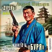Постер книги Дурень. Книга пятая. Буря