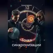 Постер книги Точка синхронизации