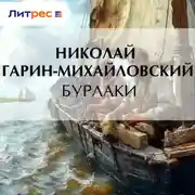 Постер книги Бурлаки