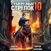 Постер книги Сумеречный Стрелок 10. Финал