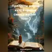 Постер книги Прелести жизни книга третья смысл жизни том-3