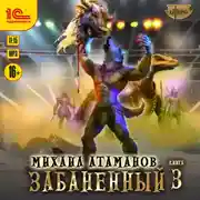 Постер книги Забаненный-3