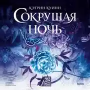 Постер книги Сокрушая ночь