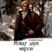 Постер книги Между двух миров