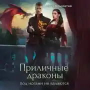 Постер книги Приличные драконы под ногами не валяются