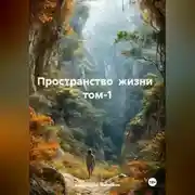 Постер книги Пространство жизни том-1