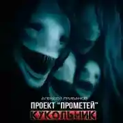 Постер книги Кукольник