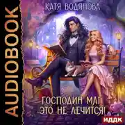 Постер книги Господин маг, это не лечится!