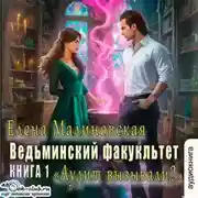 Постер книги Ведьминский факультет. Книга первая. Аудит вызывали?