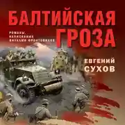Постер книги Балтийская гроза