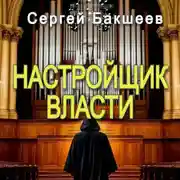 Постер книги Настройщик власти