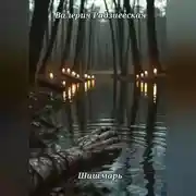 Постер книги Шишмарь