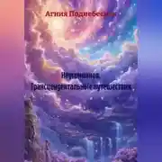 Постер книги Неугомонная Трансцендентальные путешествия