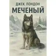 Постер книги Меченый