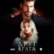 Постер книги Друг брата. Ты теперь моя